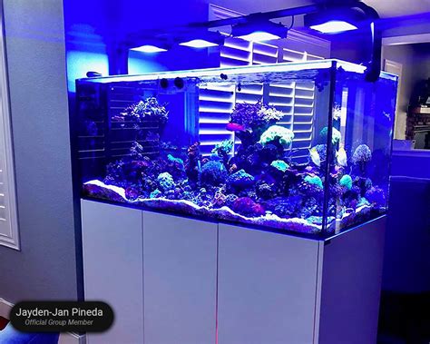 Waterbox aquariums - As low as $2.59/mo* or $20.00/2 weeks**. Share. Meet the Waterbox Aquariums® Magnetic Cleaners. A better way to clean your aquarium. Every surface accounted for. Our magnets float and are easy to move from panel to panel, keeping the front, sides and back panes of glass looking brand new. Stay Dry.